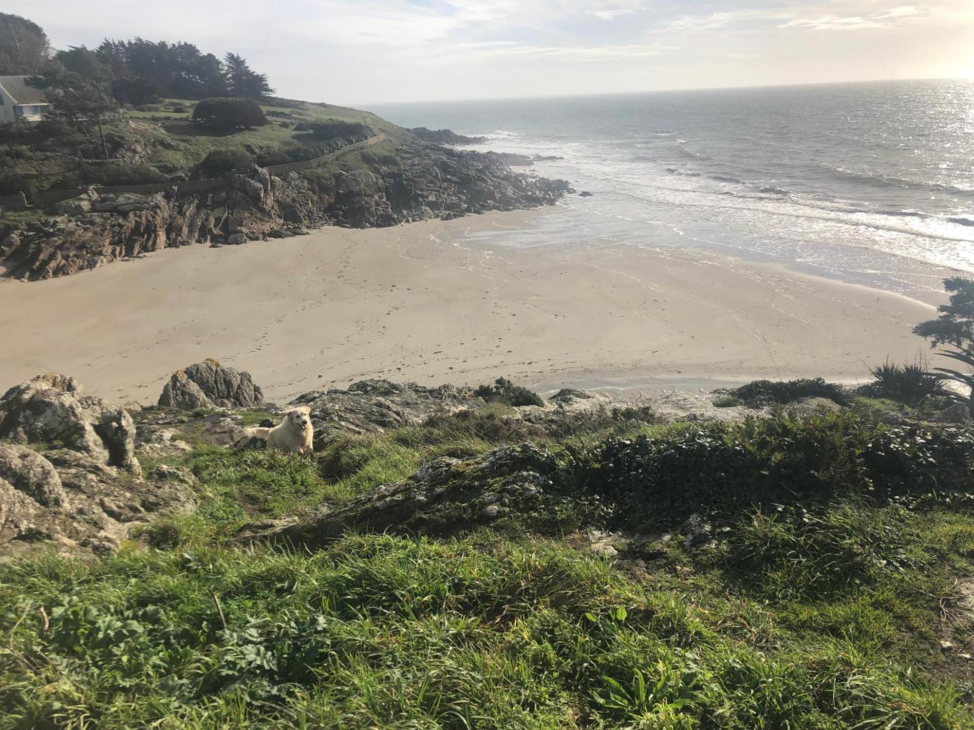 Villa Tidinghi, Plage De Rospico A Pied 内维兹 外观 照片